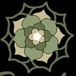 Logo de Terra Suculenta Brunch Lomas
