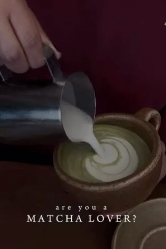 Matcha Orgánico